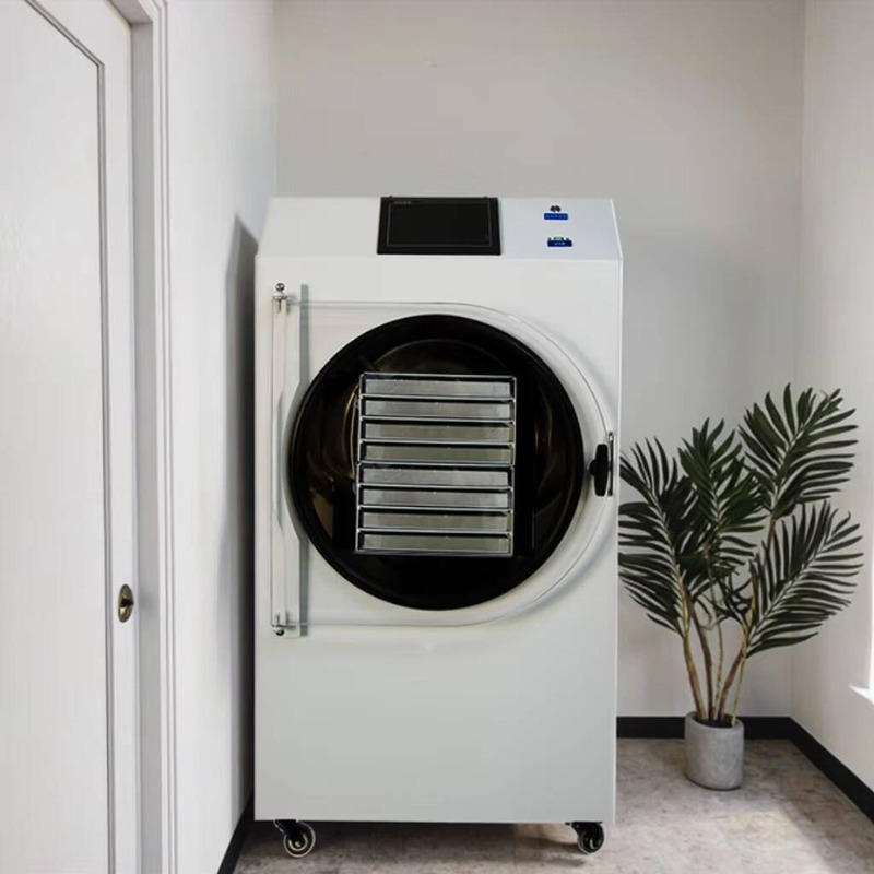 Dried Fruit - Otomatik PLC Kontrollü Kurutma Makinesi, Gıda